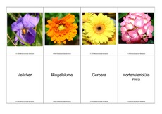 Blumen-Memo-Aufdeckspiel-11.pdf